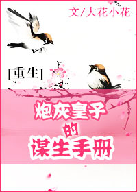 炮灰皇子的谋生手册